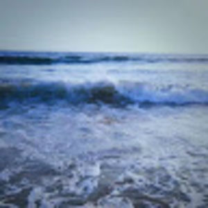 Meet your Posher, Eleanor